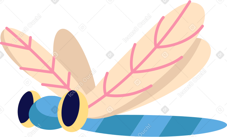 dragonfly PNG, SVG