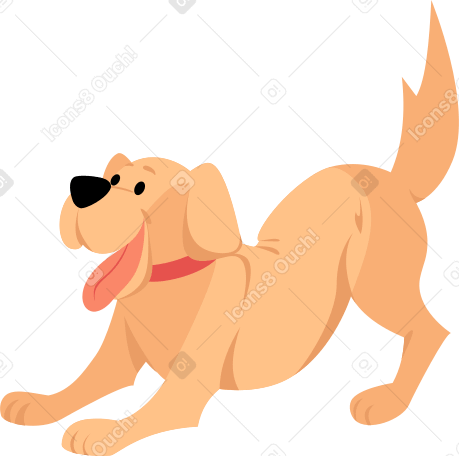 joyful labrador dog Illustration in PNG, SVG