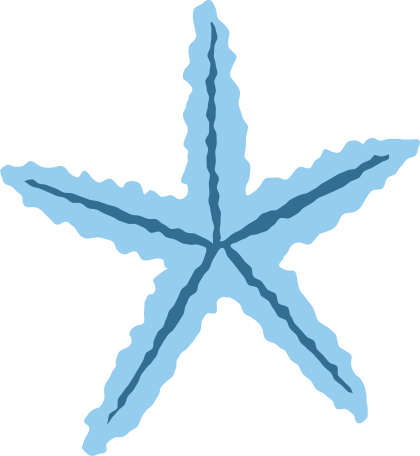 blue sea star bottom Illustration in PNG, SVG