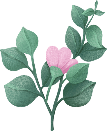 eucalyptus leaves with pink flower PNG, SVG