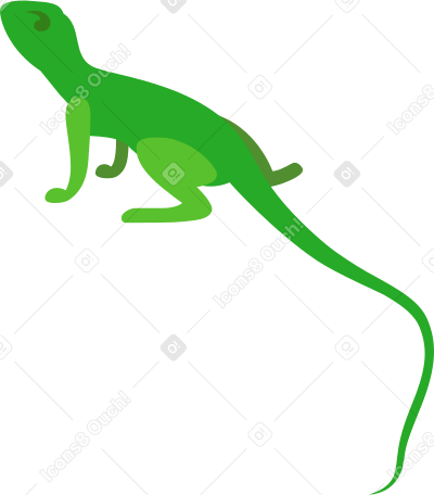 蜥蜴 PNG, SVG