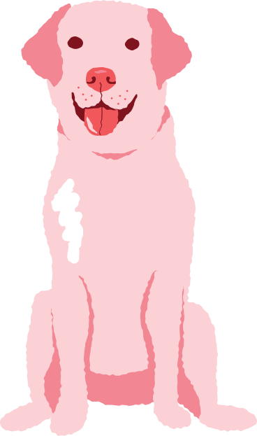 Chien assis PNG, SVG