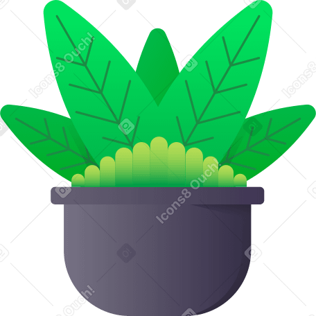 potted plant PNG、SVG