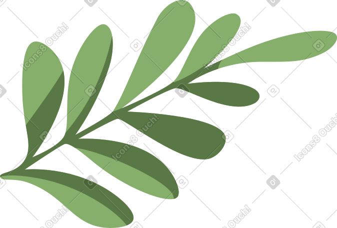 twig with green leaves PNG, SVG