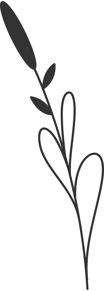 Тростник в PNG, SVG