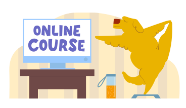 Online-kurstext auf dem computer und der hund macht eine übung PNG, SVG