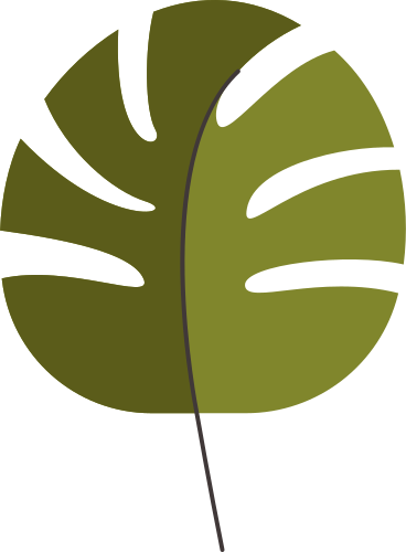 leaf PNG, SVG