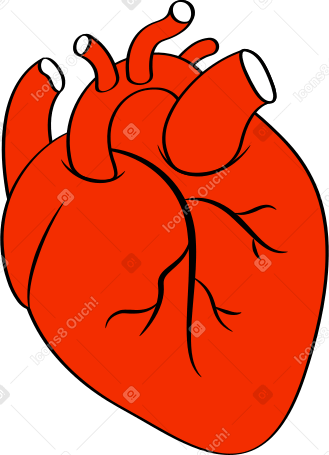 heart of man Illustration in PNG, SVG