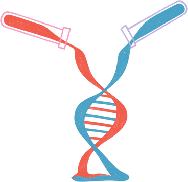 dna chain in two test tubes PNG, SVG