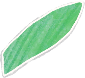 cropped green leaf PNG, SVG