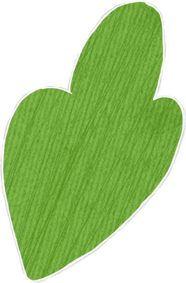 lettuce leaf PNG, SVG