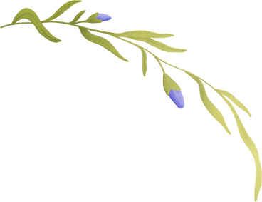long green curved twig with leaves and blue buds PNG, SVG