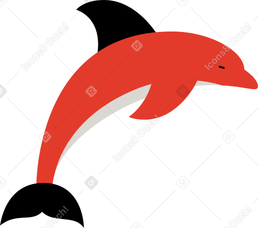 дельфин в PNG, SVG