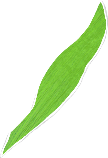 큰 녹색 잎 PNG, SVG