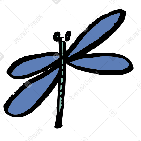 dragonfly Illustration in PNG, SVG
