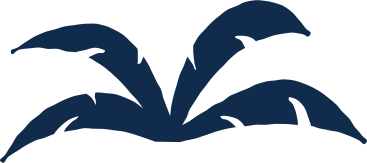 tropical leaves PNG, SVG