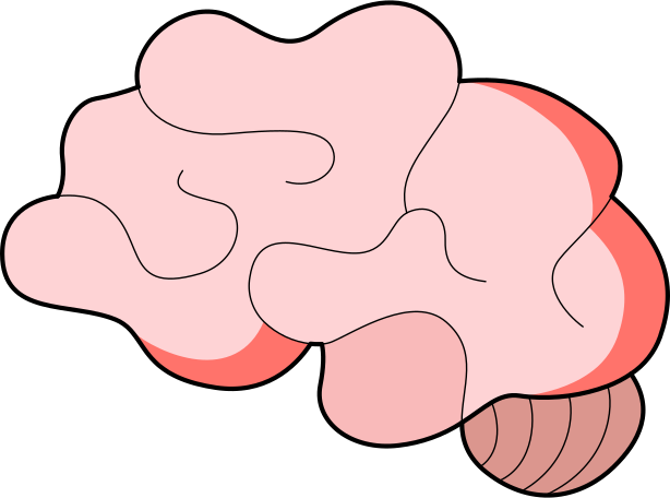 brain Illustration in PNG, SVG