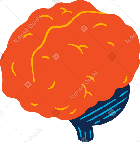 brain Illustration in PNG, SVG