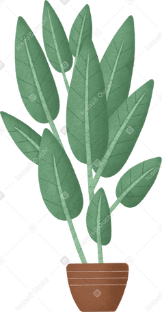 plant в PNG, SVG