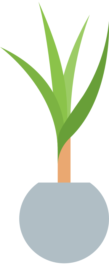 plant in pot PNG, SVG