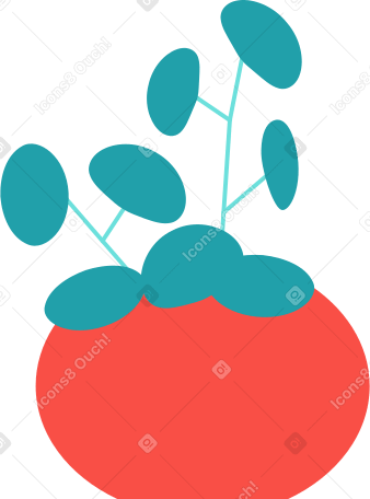 flower with round leaves in a pot Illustration in PNG, SVG