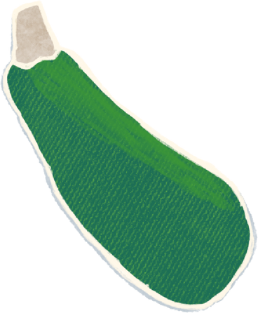zucchini green PNG, SVG