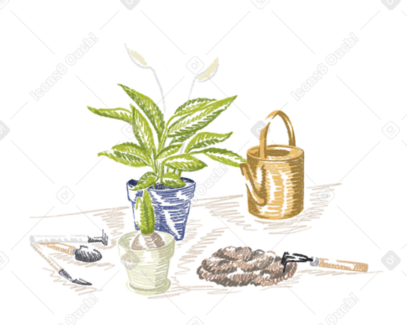 Vasi da fiori, strumenti per piantare sul tavolo PNG, SVG