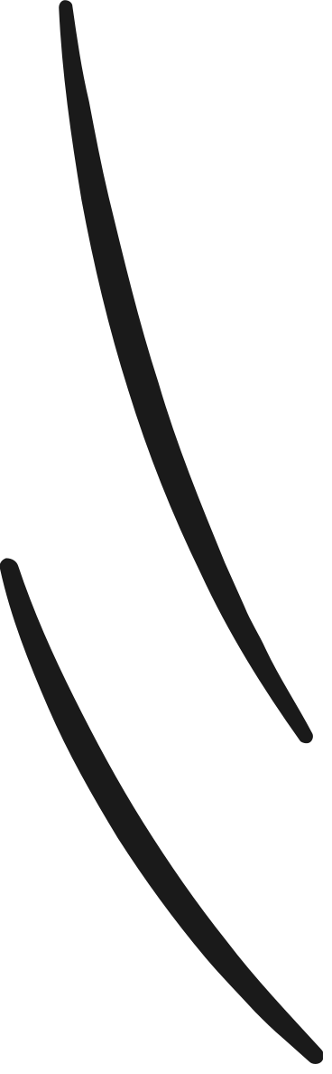 Linee decorative di pipistrelli scollegati PNG, SVG