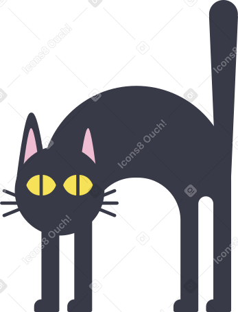 chat noir PNG, SVG