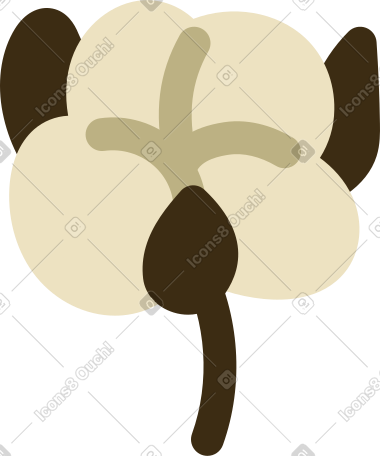 cotton PNG, SVG