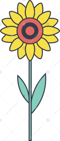 sunflower Illustration in PNG, SVG