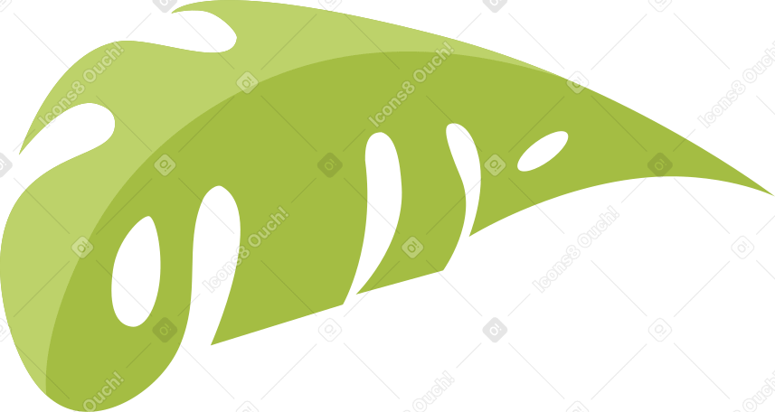monstera green leave PNG, SVG