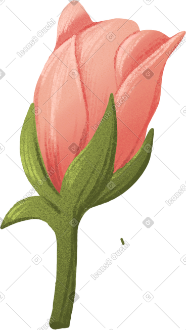 Red rose bud on a short stem PNG, SVG