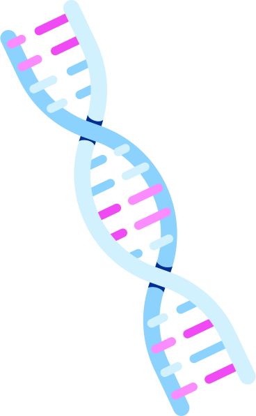 dna chain PNG, SVG