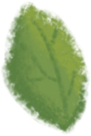 Leaf one PNG, SVG
