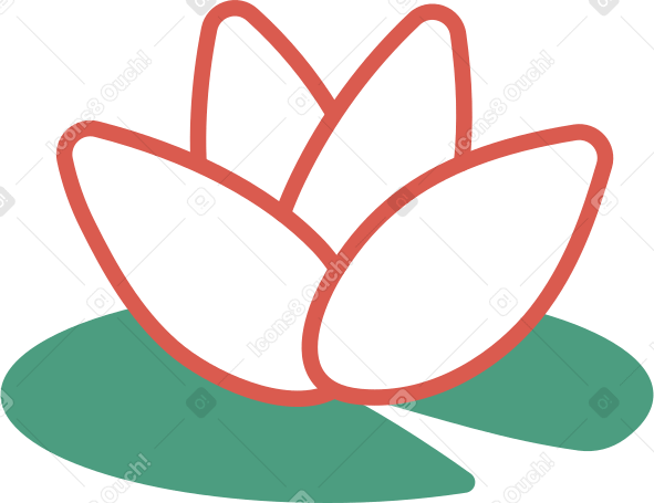 water lily Illustration in PNG, SVG