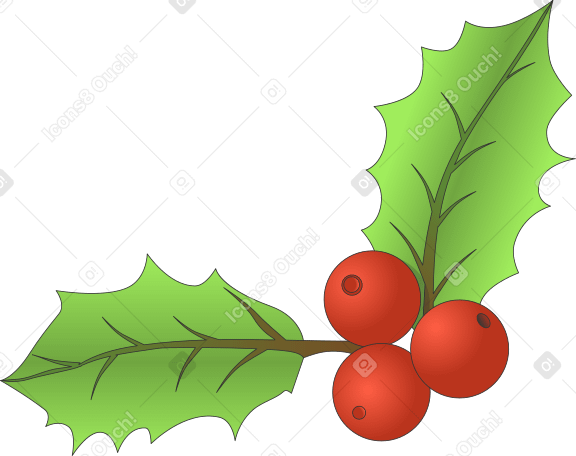 クリスマスヒイラギ PNG、SVG
