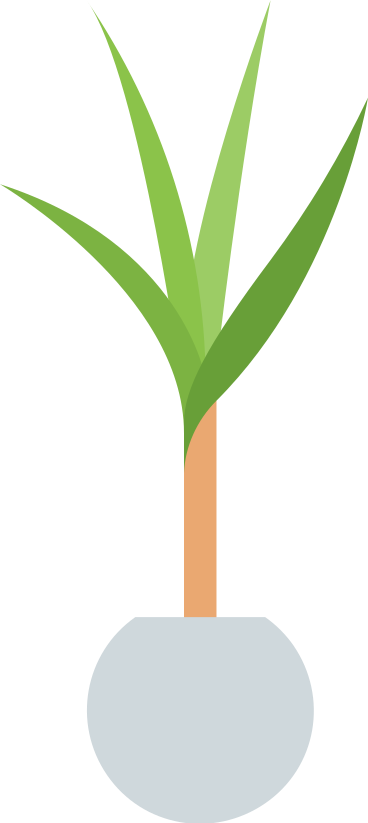 Plante en pot PNG, SVG