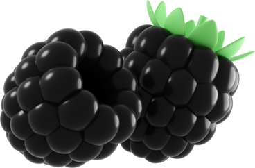 blackberries PNG, SVG