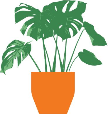 Monstera in an orange pot PNG, SVG