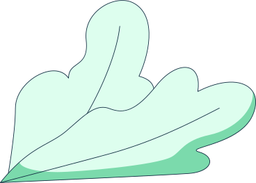 lettuce PNG, SVG
