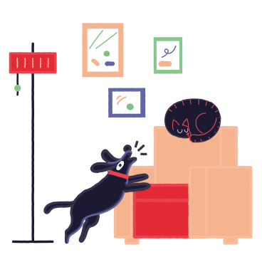 Dog barking at a sleeping cat in living room PNG, SVG