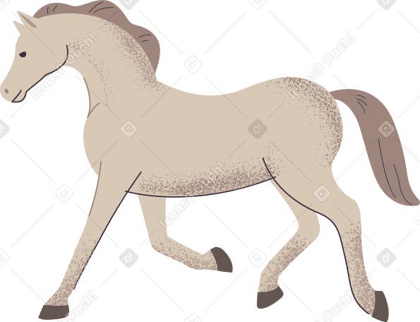 cavallo PNG, SVG