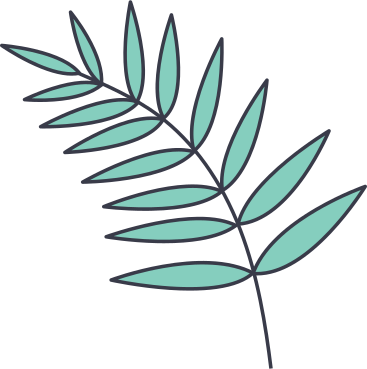 tropical leaf PNG, SVG