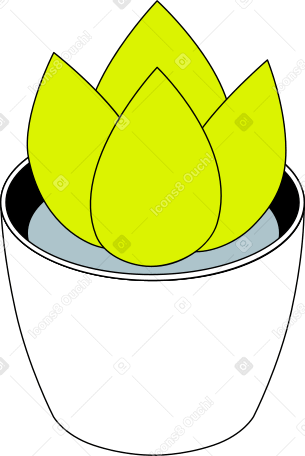 цветок в горшке в PNG, SVG