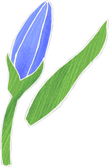 blue bellflower bud with leaf PNG, SVG