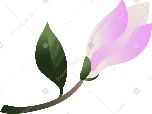 Pequeño capullo de magnolia en una ramita PNG, SVG