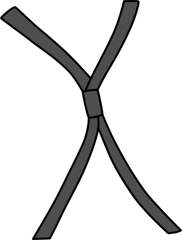 straps PNG, SVG