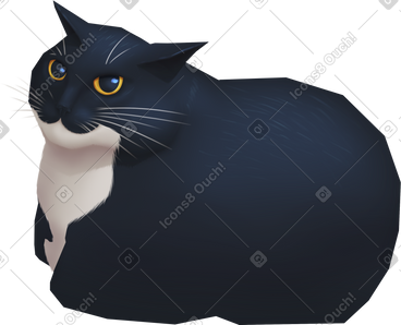 Meme cat PNG, SVG