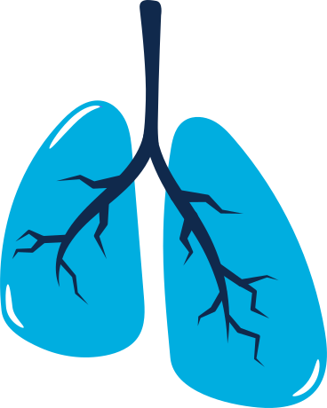 lungs PNG, SVG